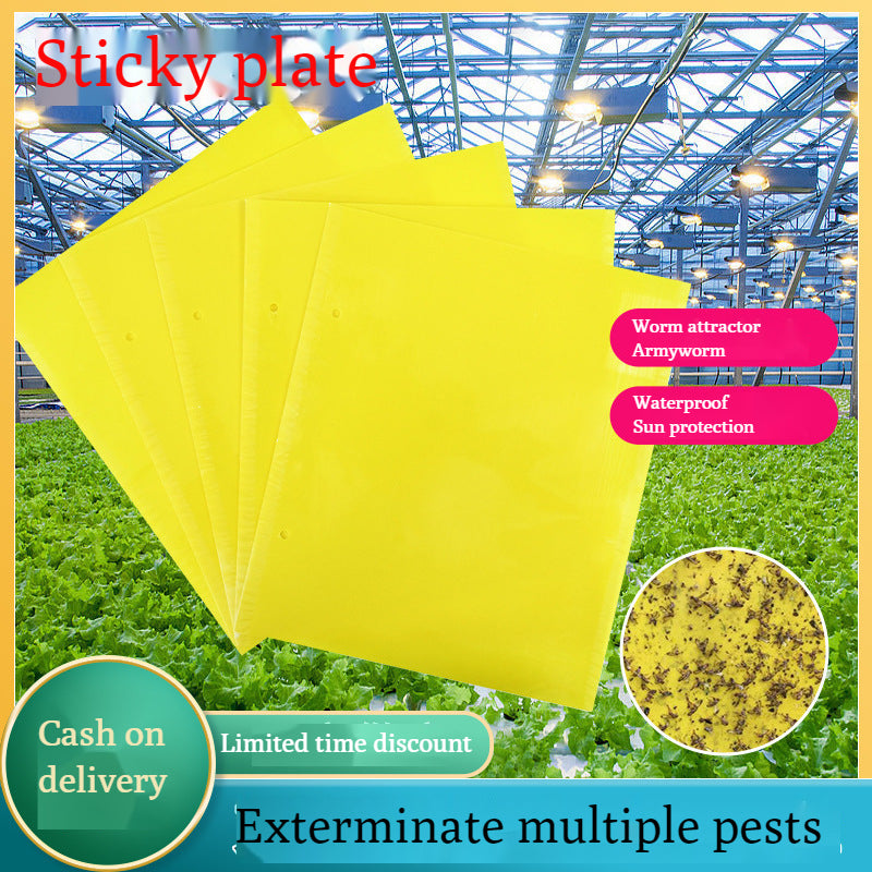 🔥🔥【50% de descuento】60 piezas 27 euros【Oferta por tiempo limitado】💥Tablero adhesivo de insectos de doble cara amarillo