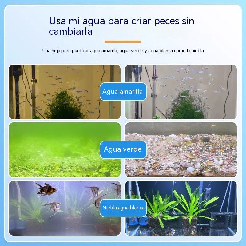 🔥【5 frascos - 500 tabletas】🐠🌿 Tabletas para el control de algas en acuarios: adecuadas para agua verde, algas negras, algas marrones, musgo y algas verdes.