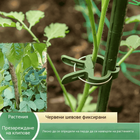🍃【200 бр.】Щипки за градински лози