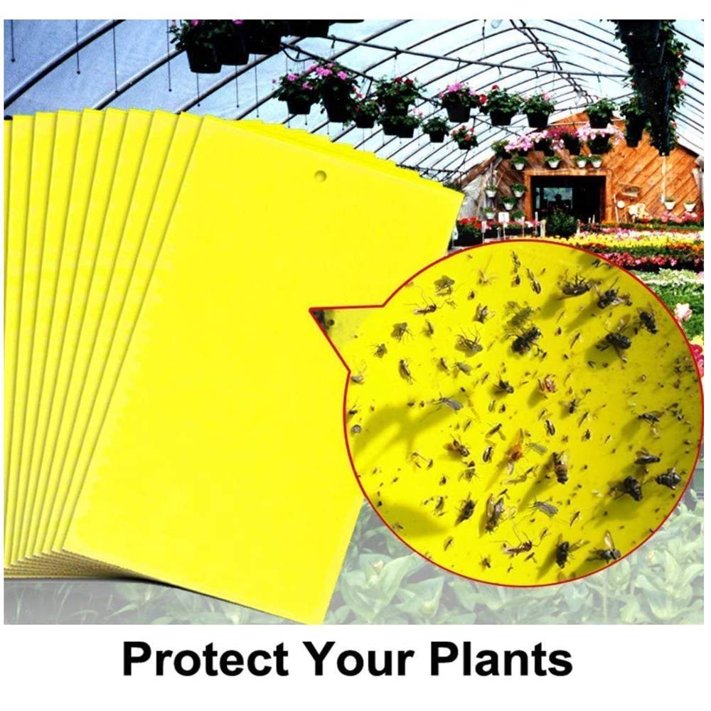 🔥🔥【50% de descuento】60 piezas 27 euros【Oferta por tiempo limitado】💥Tablero adhesivo de insectos de doble cara amarillo