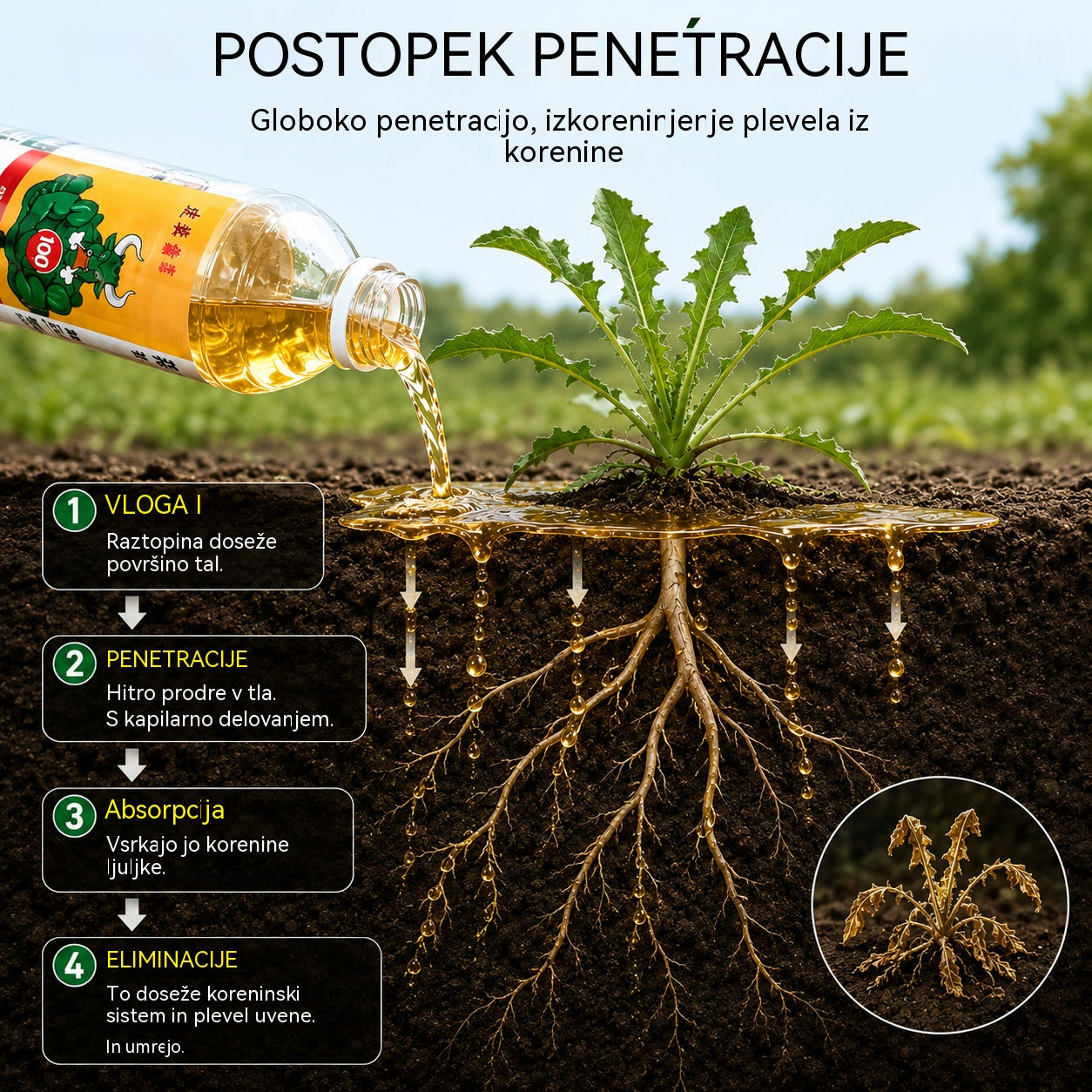 ✅ Herbicid in sredstvo za preprečevanje gnilobe korenin👉【100 ml tekočine razredčimo v 15–20 l vode】💡