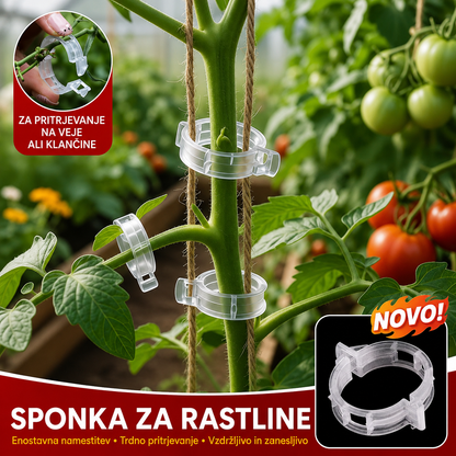 【200 kosov】Sponka za gojenje rastlin v rastlinjaku Sponka za sadike
