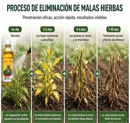 ✅ Herbicida y agente preventivo de la pudrición de raíces 👉【100 ml de líquido se diluyen en 15–20 l de agua】💡