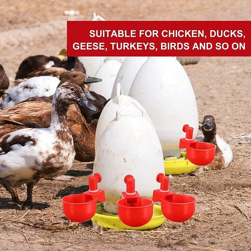 🔥【30% OFF】🔥【12 piezas】🐓Bol de agua automático para aves de corral, sin necesidad de alimentación manual