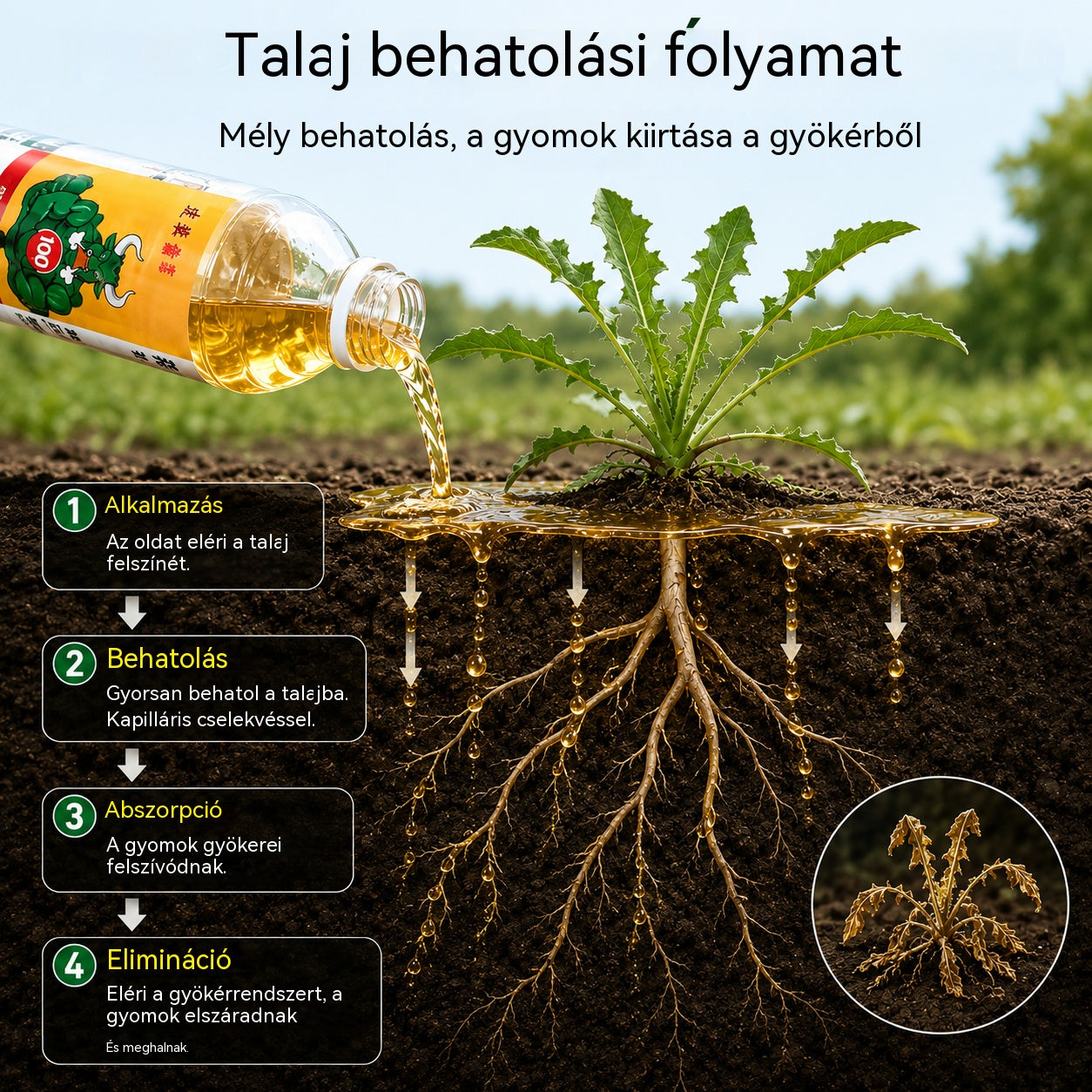 ✅ Gyomirtó és gyökérrothadás elleni szer👉【100 ml folyadékot 15–20 l vízben hígítunk】💡
