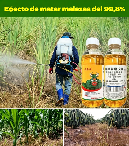 ✅ Herbicida y agente preventivo de la pudrición de raíces 👉【100 ml de líquido se diluyen en 15–20 l de agua】💡