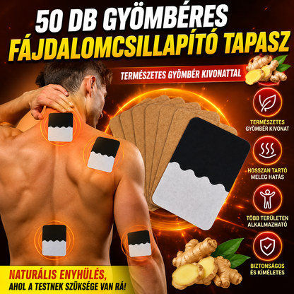 🔥【30% OFF】🔥【50 darab】 🔥Legkelendőbb termék – 50% kedvezmény🔥 Gyömbér fájdalomcsillapító tapaszok