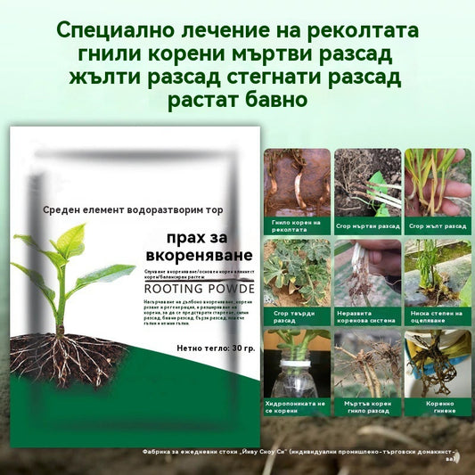🌱🌷【Купете 5, вземете 5 безплатно】Прах за бързо вкореняване, средство за вкореняване на растения, бързодействащ сложен тор