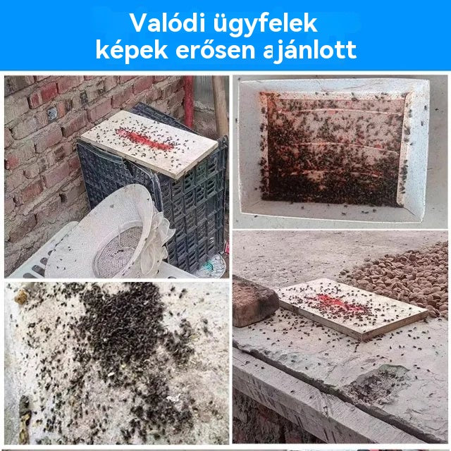 【Vásároljon 10-et, kap 10-et ingyen】🦟Kifejezetten szúnyogok és legyek irtására tervezték a farmokon, egy csomag elpusztítja a bolhákat/szöcskéket/csótányokat/legyeket/szúnyogokat!