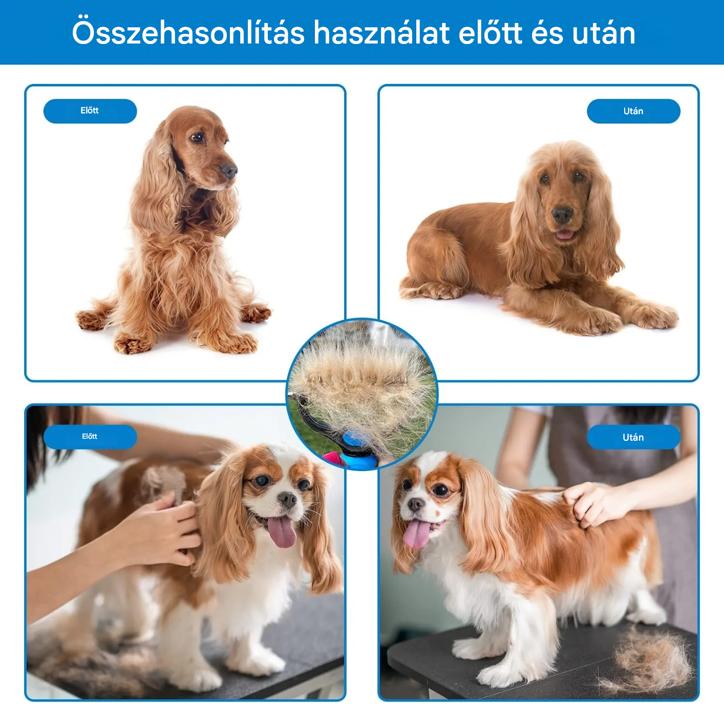 【Vásároljon 1-et, kapjon 1-et ingyen】🐾 Professzionális eszköz kutyák és macskák elhalt szőrének eltávolítására: gyengéd, hatékony és szőrmentes otthon ✨💖