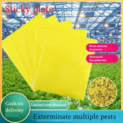 🔥🔥【50% de descuento】60 piezas 27 euros【Oferta por tiempo limitado】💥Tablero adhesivo de insectos de doble cara amarillo