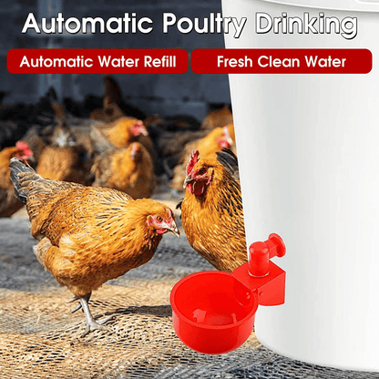 🔥【30% OFF】🔥【12 piezas】🐓Bol de agua automático para aves de corral, sin necesidad de alimentación manual