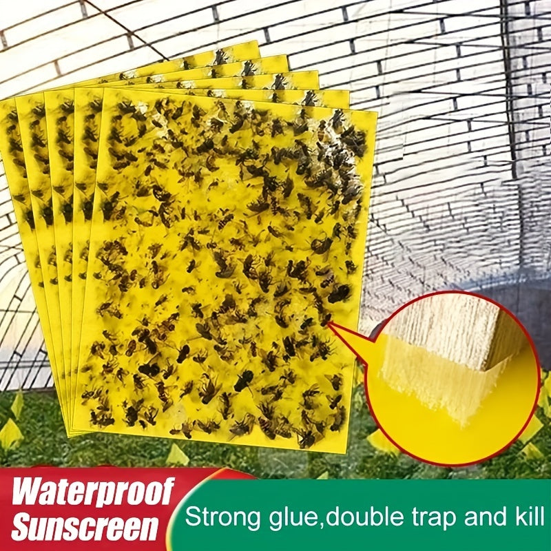 🔥🔥【50% de descuento】60 piezas 27 euros【Oferta por tiempo limitado】💥Tablero adhesivo de insectos de doble cara amarillo
