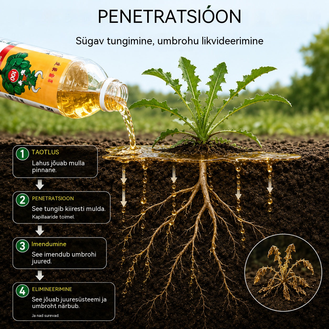 ✅ Herbitsiid ja juuremädaniku tõrjevahend👉【100 ml vedelikku lahjendatakse 15–20 l veega】💡