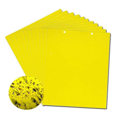 🔥🔥【50% de descuento】60 piezas 27 euros【Oferta por tiempo limitado】💥Tablero adhesivo de insectos de doble cara amarillo