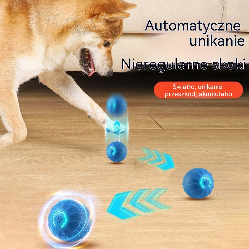 🐶🎁Inteligentna interaktywna, odbijająca się piłka dla zwierząt