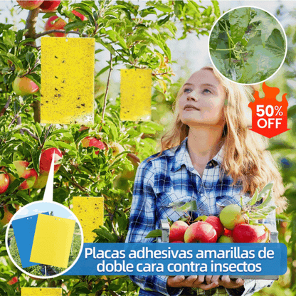 🔥🔥【50% de descuento】60 piezas 27 euros【Oferta por tiempo limitado】💥Tablero adhesivo de insectos de doble cara amarillo