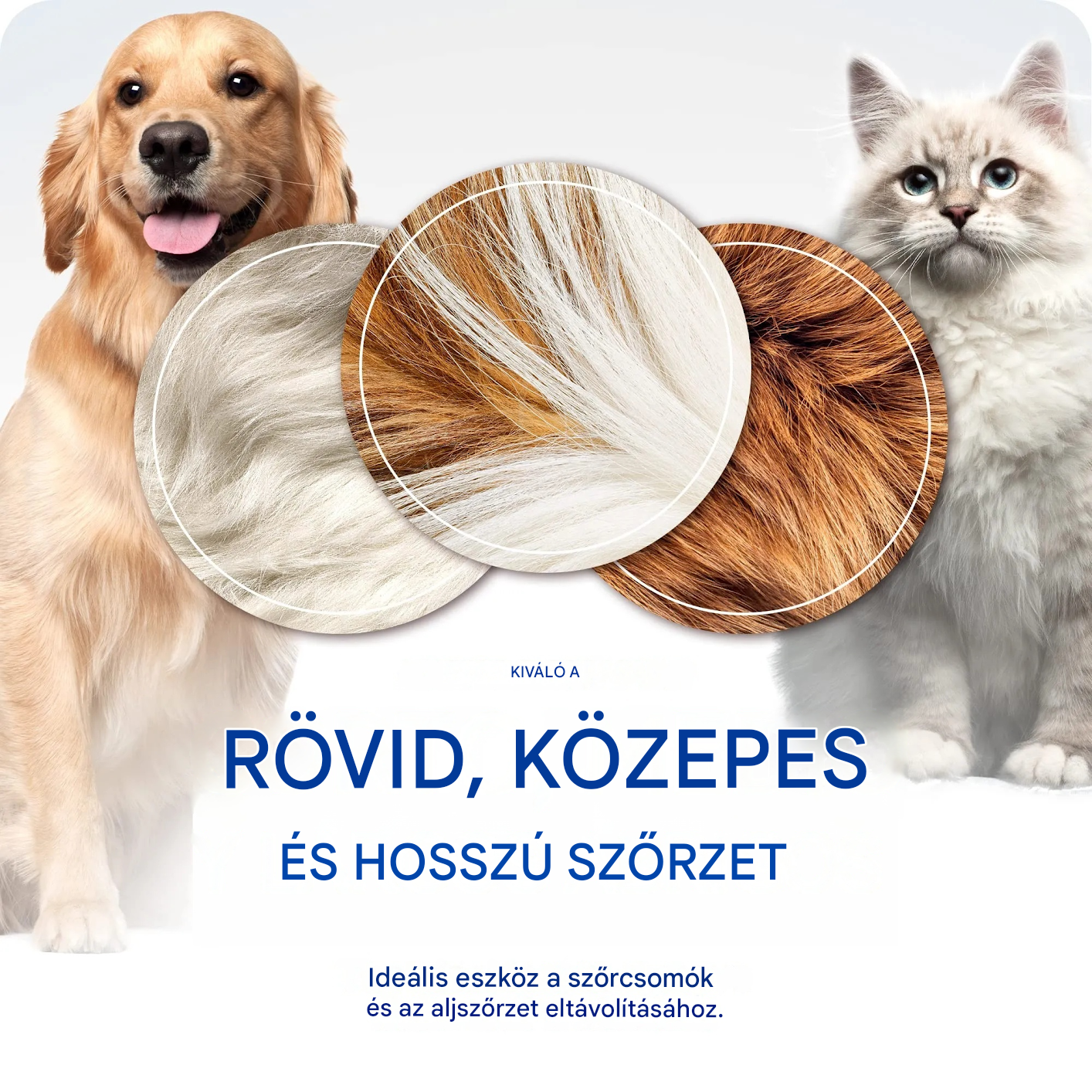 【Vásároljon 1-et, kapjon 1-et ingyen】🐾 Professzionális eszköz kutyák és macskák elhalt szőrének eltávolítására: gyengéd, hatékony és szőrmentes otthon ✨💖