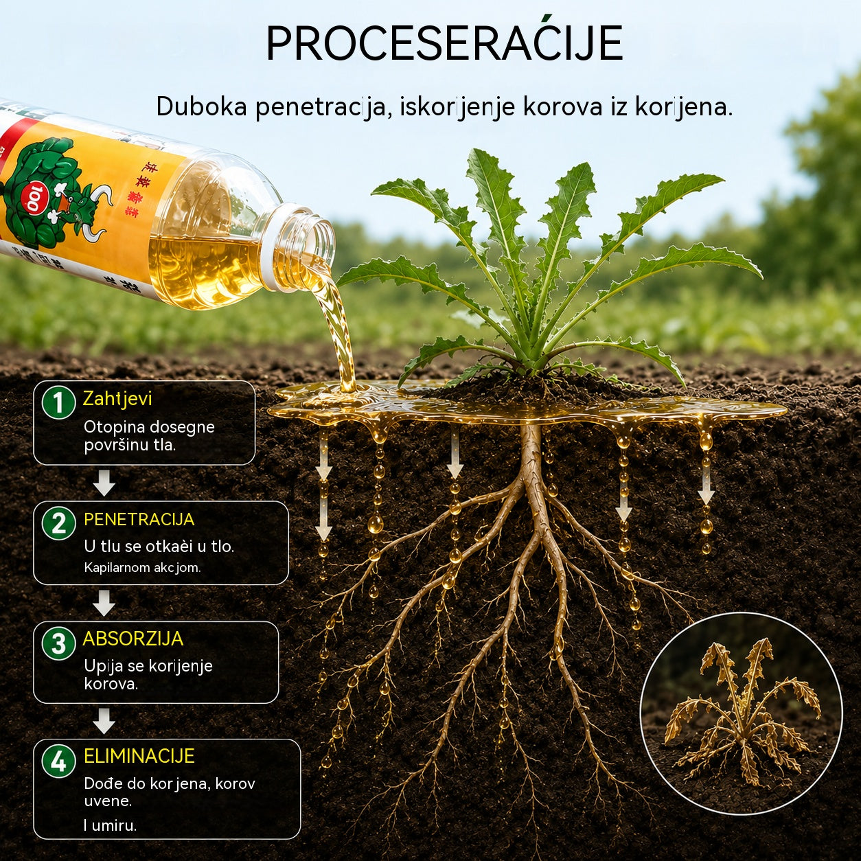 ✅ Herbicid i sredstvo za sprječavanje truljenja korijena👉【100 ml tekućine razrijedi se u 15–20 l vode】💡