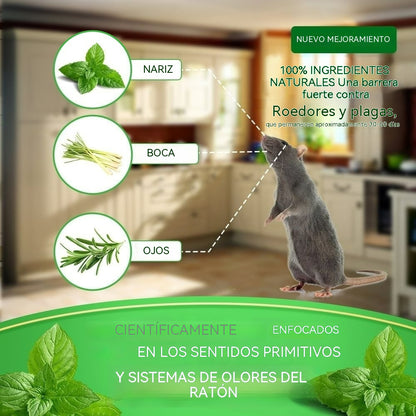 🔥🐭Repelente para roedores (paquete de 12) – Bolas repelentes para ratones con aceite de menta y limón – Repelente contra ratones, ardillas, ratas, arañas y otras plagas – Para uso en interiores y exteriores