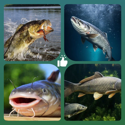 🔥【Compra 1 y llévate 1 gratis】🎣 Anzuelo flotante de alta flotabilidad con bola: ¡flota naturalmente y pica al instante! 🐟💧 Mantiene el cebo a la profundidad perfecta: más picadas, menos espera. 🔴⚡